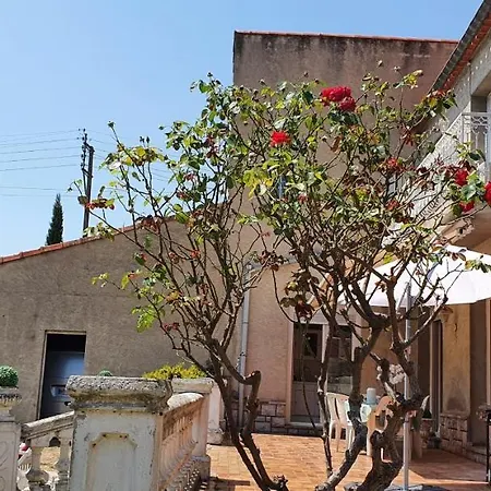 Вилла La Casa De Margarita Y Sisco, Avec Piscine Каркассон