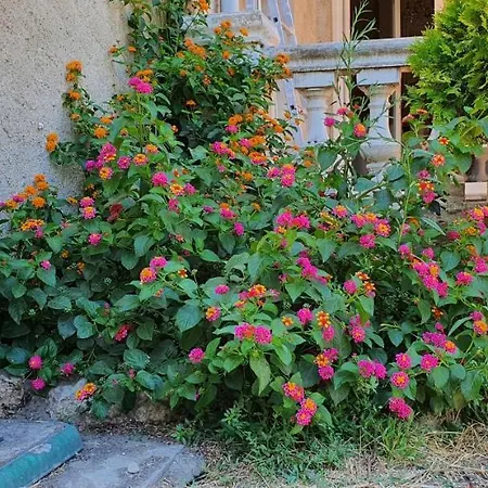 Vila La Casa De Margarita Y Sisco, Avec Piscine *