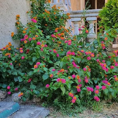 Villa La Casa De Margarita Y Sisco *