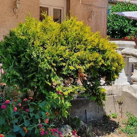 La Casa De Margarita Y Sisco, Avec Piscine Каркассон