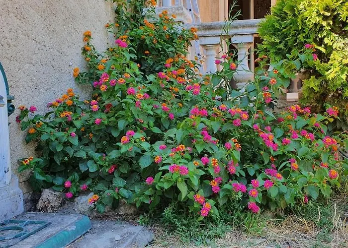 Вилла La Casa De Margarita Y Sisco, Avec Piscine *